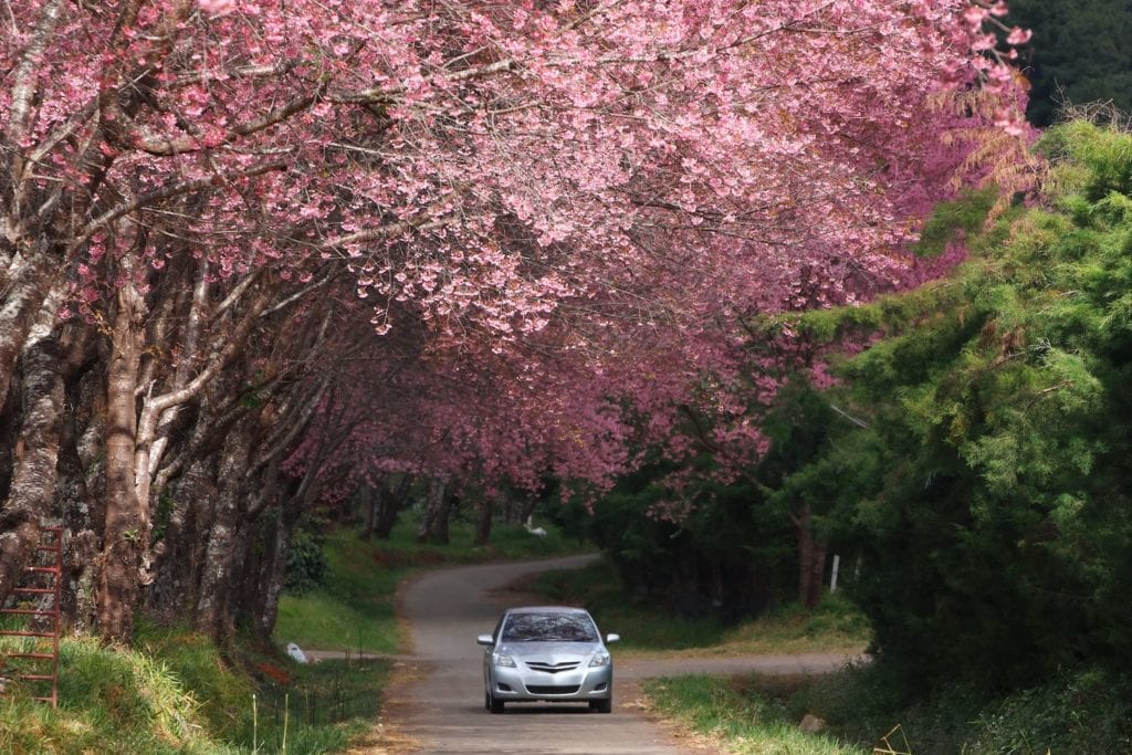 MAIF auto insurance provider in Gaithersburg, MD